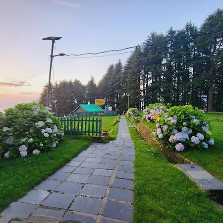 Forest Vibes Kalatop-Rooms And Restaurant Dalhousie Exterior foto