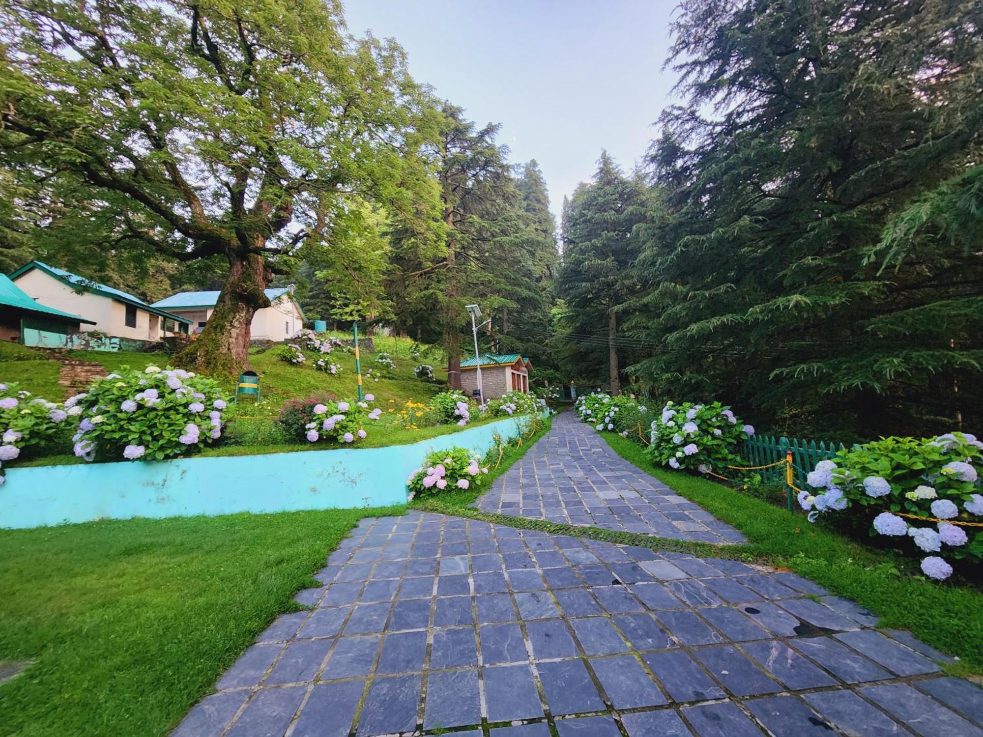 Forest Vibes Kalatop-Rooms And Restaurant Dalhousie Exterior foto