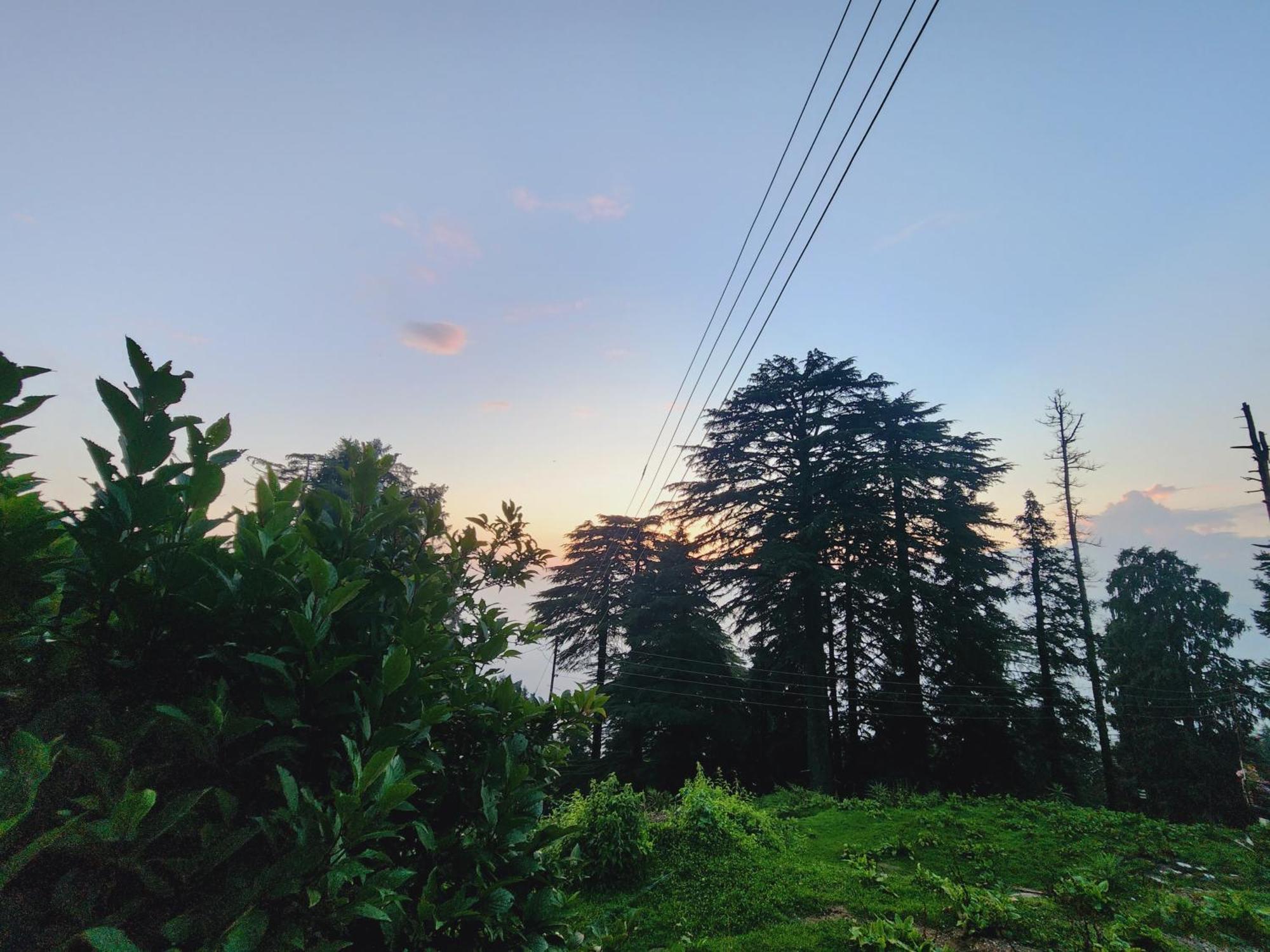 Forest Vibes Kalatop-Rooms And Restaurant Dalhousie Exterior foto