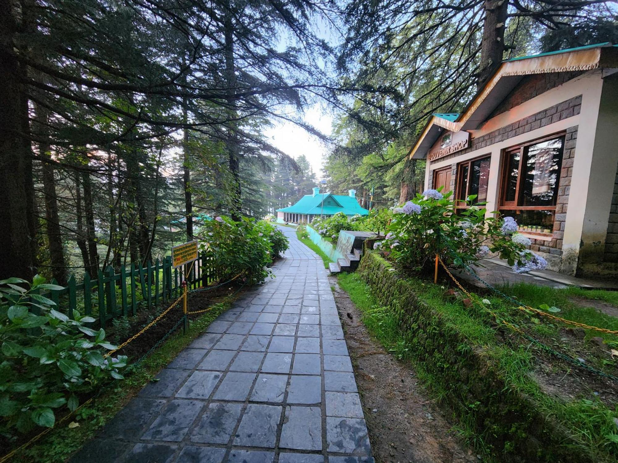 Forest Vibes Kalatop-Rooms And Restaurant Dalhousie Exterior foto