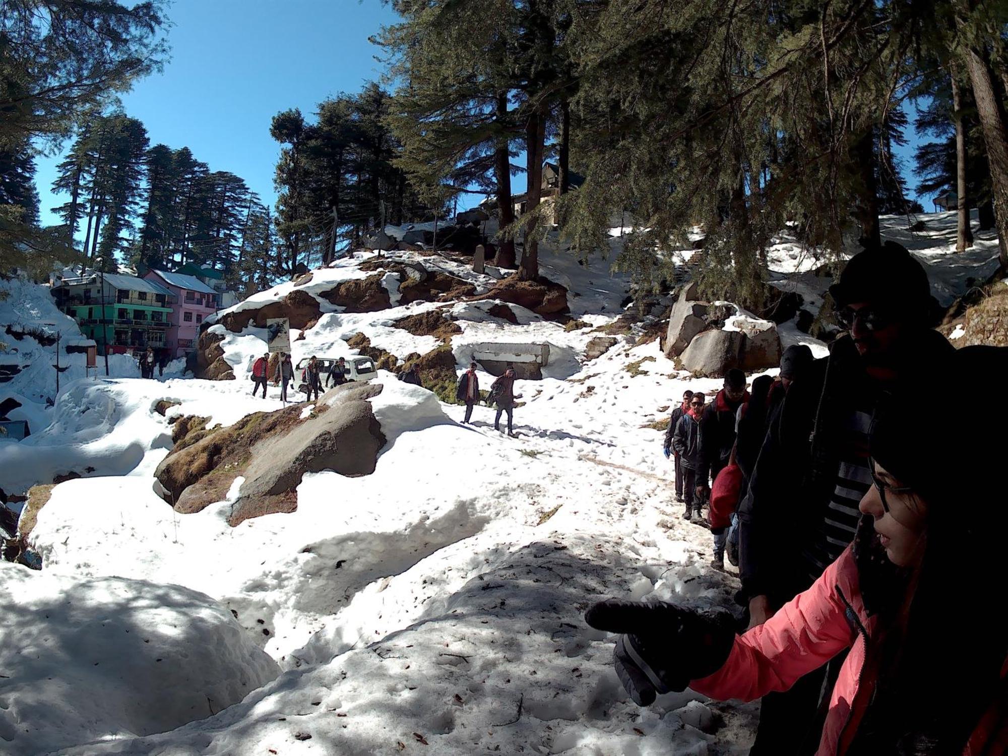 Forest Vibes Kalatop-Rooms And Restaurant Dalhousie Exterior foto