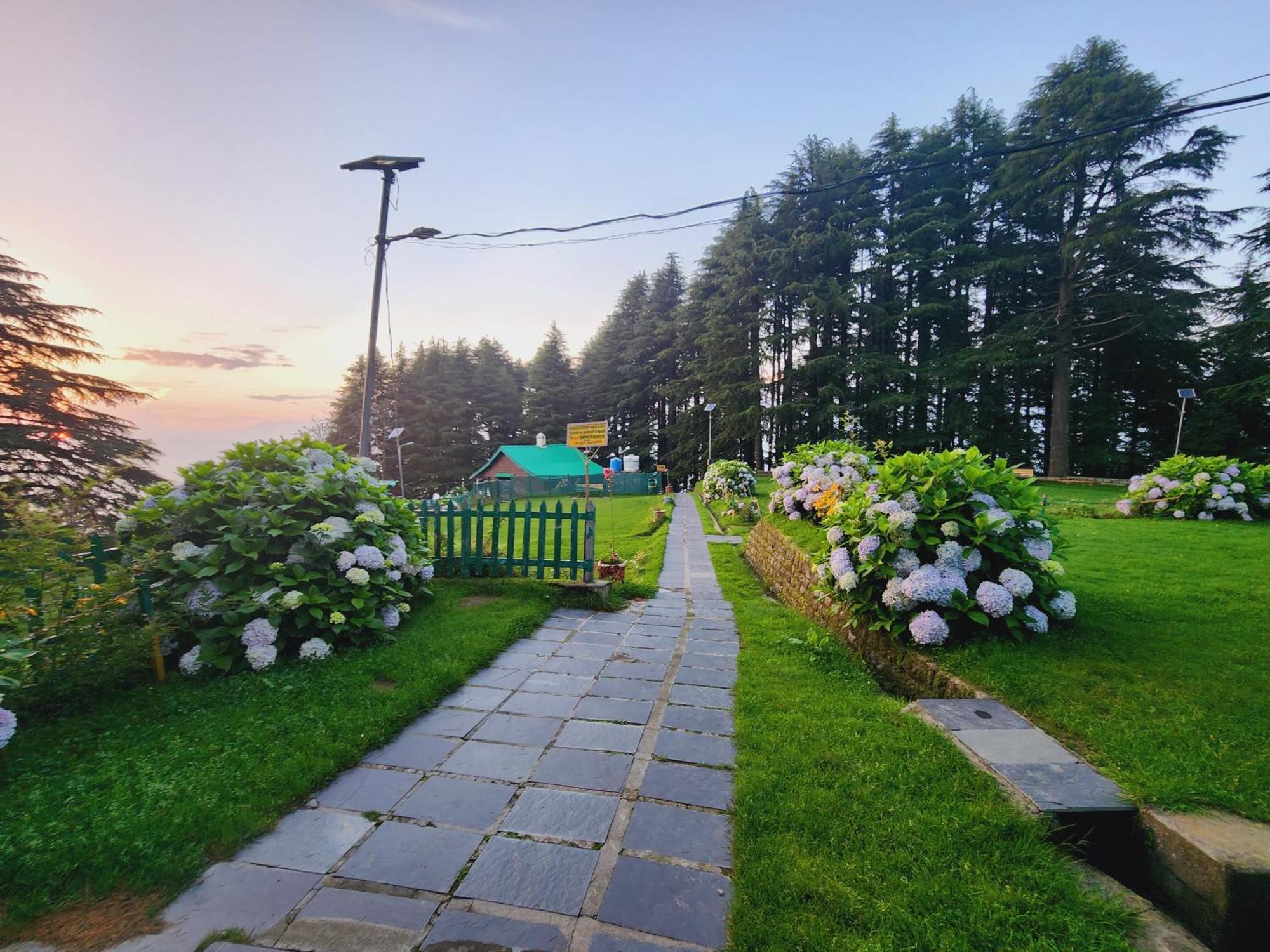Forest Vibes Kalatop-Rooms And Restaurant Dalhousie Exterior foto