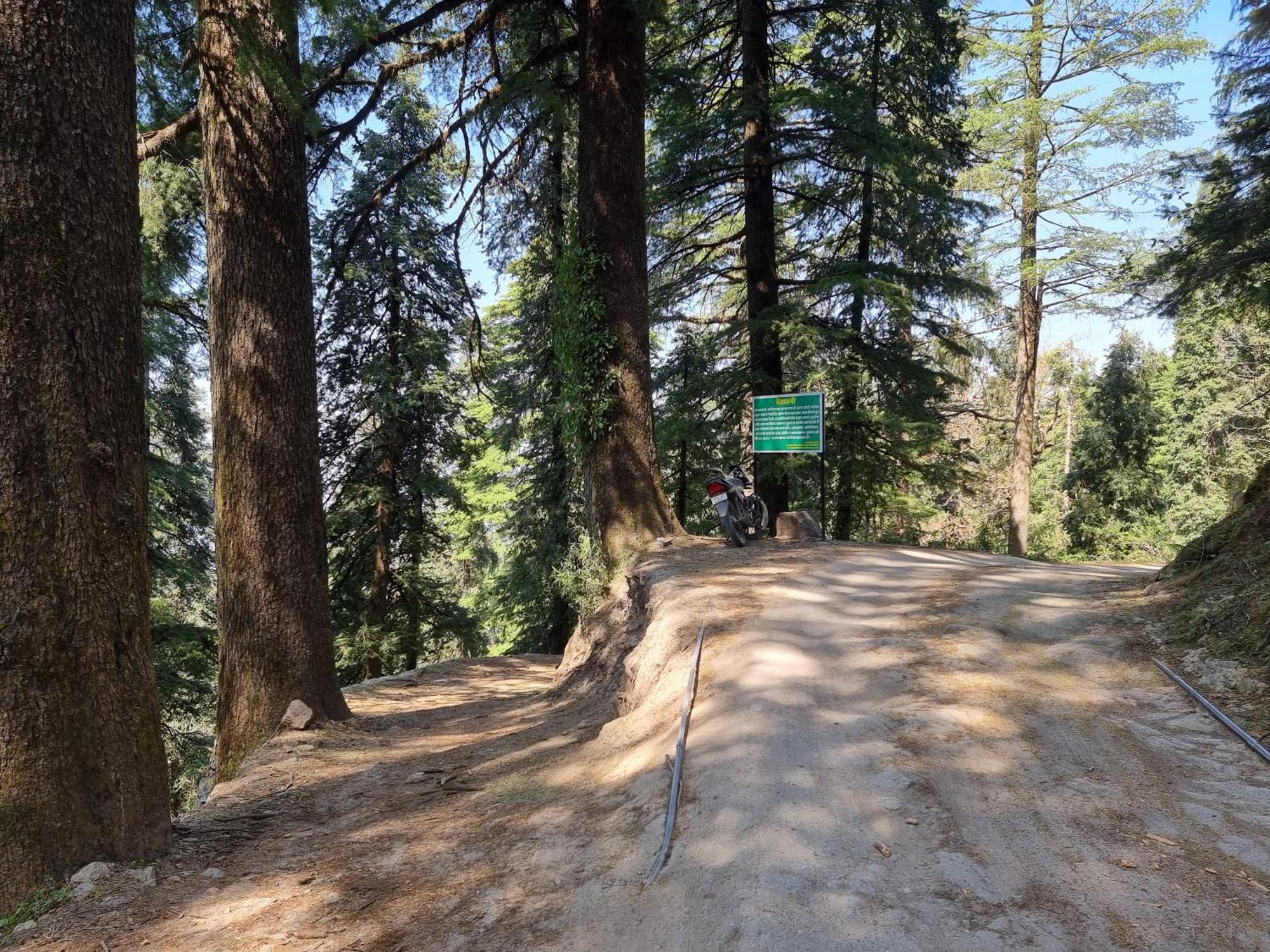Forest Vibes Kalatop-Rooms And Restaurant Dalhousie Exterior foto