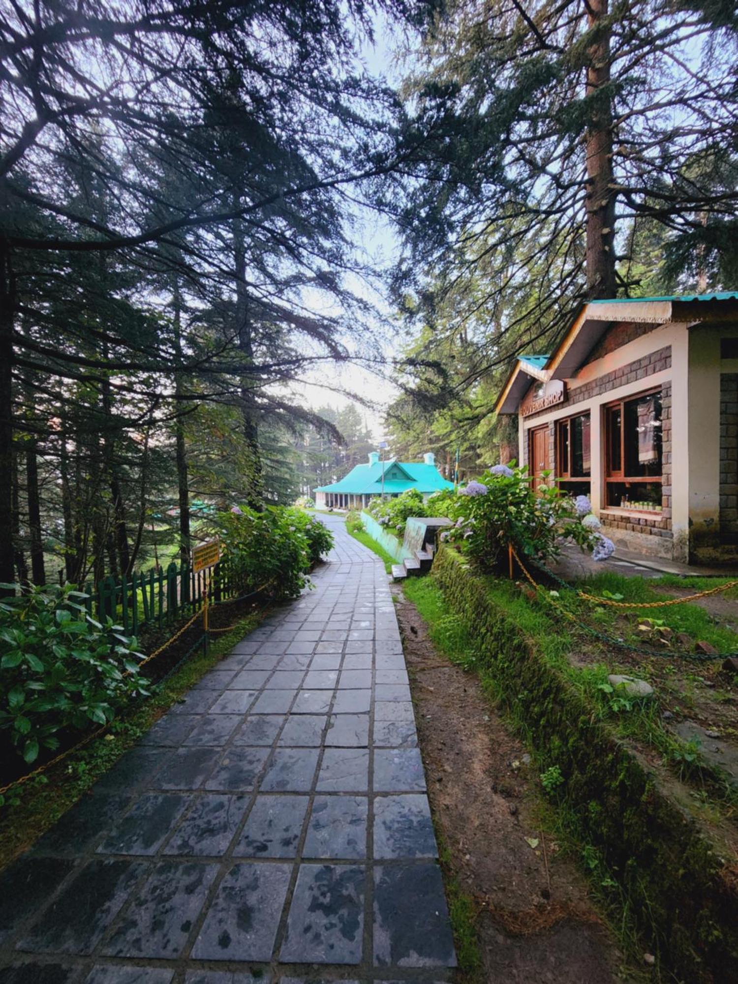 Forest Vibes Kalatop-Rooms And Restaurant Dalhousie Exterior foto